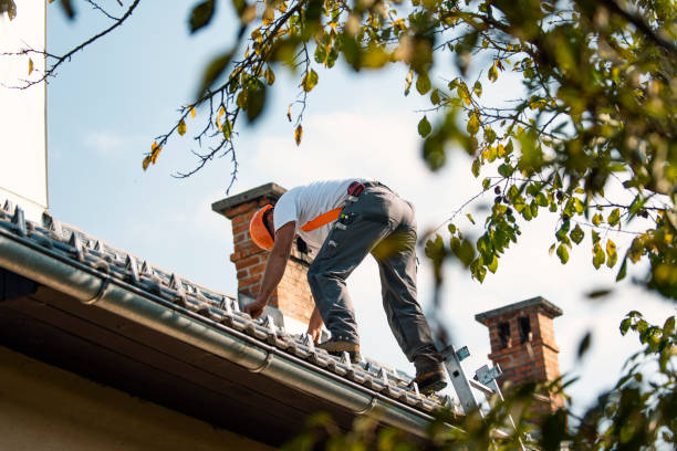 Best Roof Replacement Cost  in Jerseyvle, IL