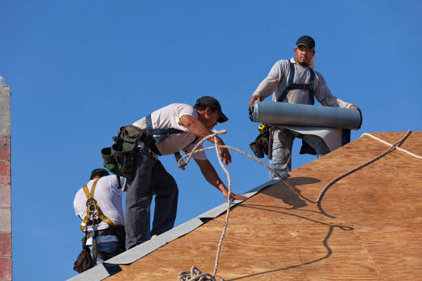 Best Best Roofing Contractors  in Jerseyvle, IL