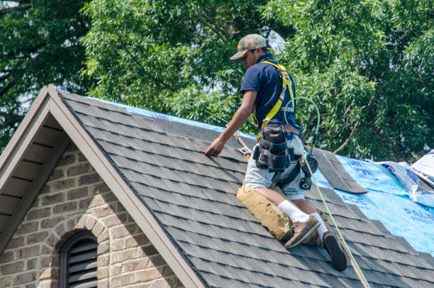 Best Local Roofing Companies  in Jerseyvle, IL